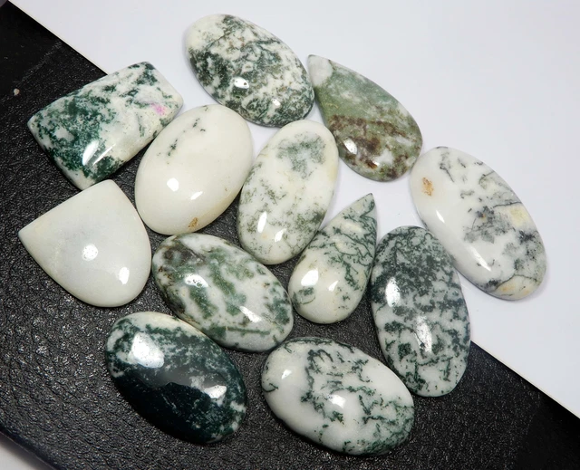 Natural Mixed Cut Moss Agate Cabochon Loose Gemstone 11 Pcs 394.50 Ct