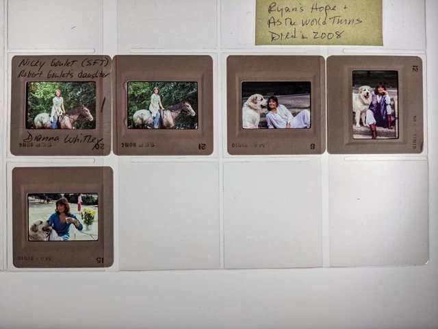 Dw4-486 Nicky Goulet Lot (5) 35Mm Orig Slide Via Dianna Whitley