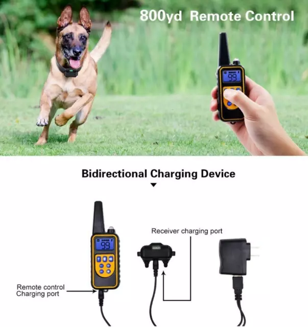 Collare elettrico per addestramento del cane collare antiabbaio per cani imperme 2