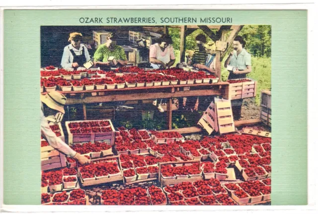 Ozark Strawberries Missouri Farm Stand Pickers Fruit Crates Linen P.UN (Z25A )