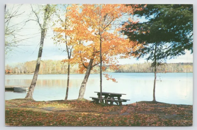 Crystal Falls Michigan~Fortune lake & Picnic Table~Vintage Postcard