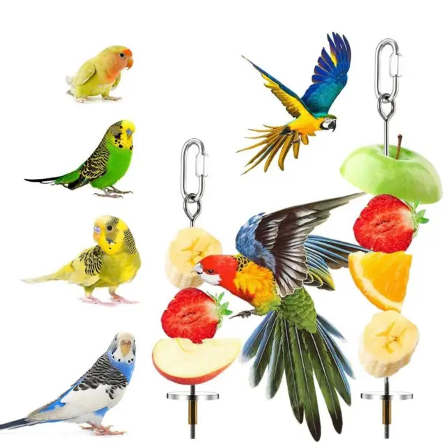 Steel Pet Treat Fruit Stick Vegetable Skewer Bird Food Holder Parrot Feeder