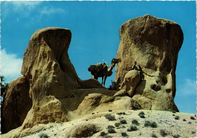 CPM AK MAROC TAFRAOUT-Dromadaire dans les rochers (342758)