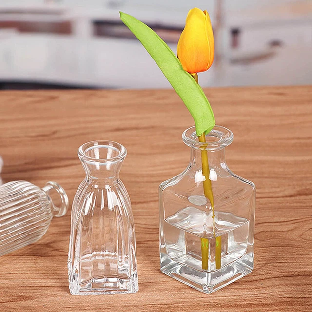 Mini botella creativa de escritorio simple jarrón decoración eneldo verde planta hidropónica #