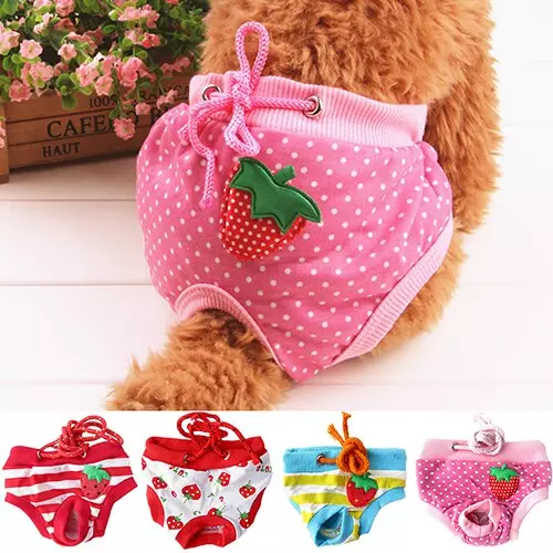 cute Hundehöschen Hunde Welpe Läufigkeitshose Schutzhose Früchtchen O 20-56cm H8