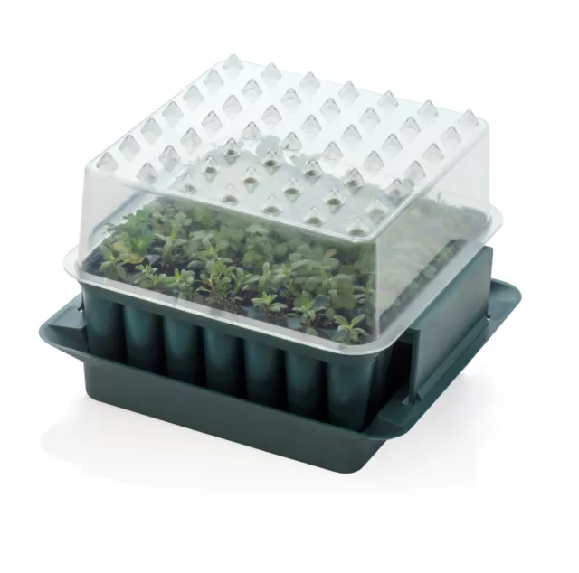AGRALAN RHS Compact Plug Plant Trainer Propagator Seed Sowing Seedling Tray Pot