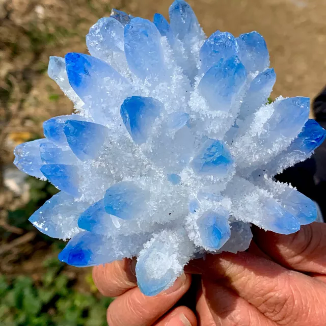 1.12LB New Find sky blue Phantom Quartz Crystal Cluster Mineral Specimen Healing