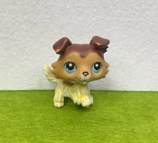 Littlest Pet Shop LPS Authentic #58 Collie Puppy Dog Sage Paw Up