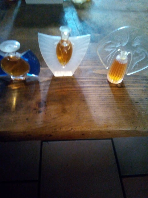 Signee sales collection perfume