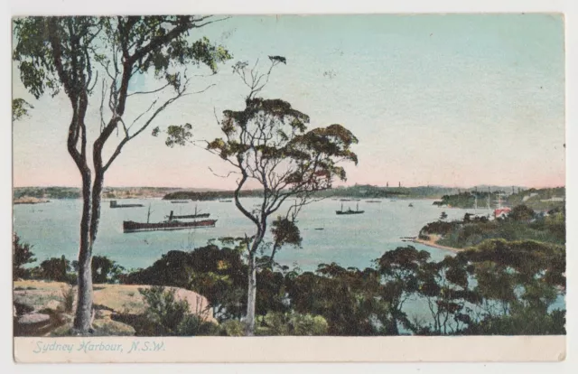 NSW - SYDNEY HARBOUR vintage colour postcard, used 1906 Windsor to Newtown NSW