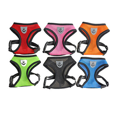 (H008) Kitten Small Cat Small Dog Adjustable Mesh Harness & Lead Various Colours