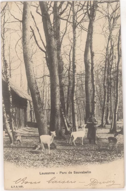 Cpa Suisse - Lausanne - Parc De Sauvabelin - Chevres