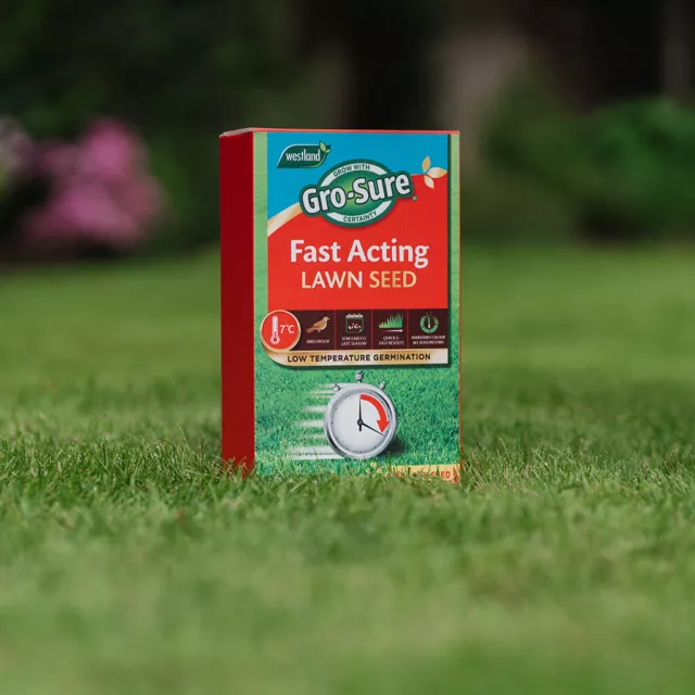 Westland Gro-Sure Fast Acting Lawn Seed - Low Temperature Germination