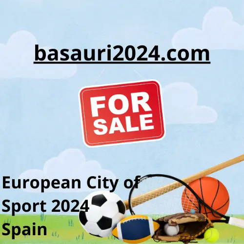 basauri2024.com Nombre de Dominio Premium