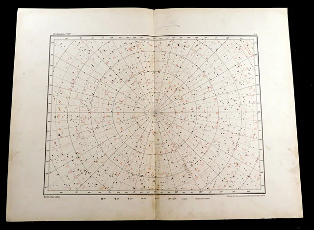 Celestial Map Star Chart Draco Ursa Major Perseus Lynx Astronomy Antique 1893