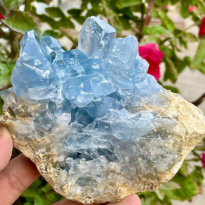 2.07lb  Natural blue celestite geode quartz crystal mineral specimen healing