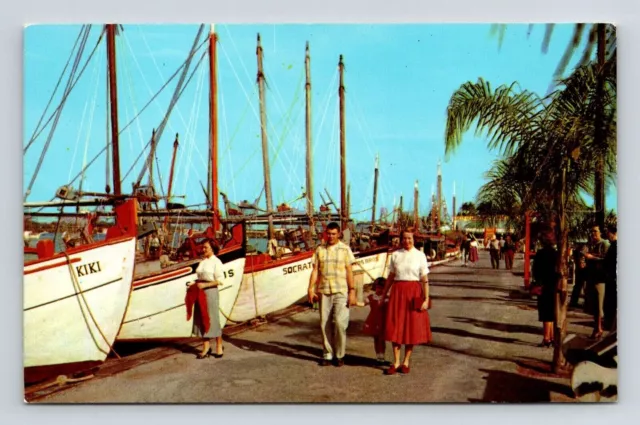 Sponge Fleet Dock Tarpn Florida Boats Ocean Palms Shoreline Vintage UNP Postcard
