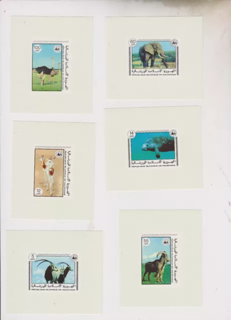 MAURITANIA 1978,FAUNA,animals WWF single proofs set,MNH #