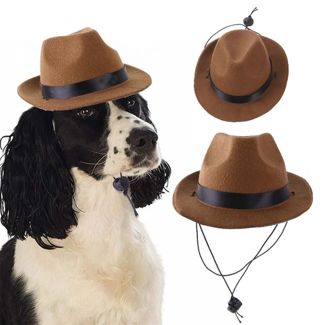 Forniture per feste copricapo animale domestico cappello da cowboy cane costume cappello top cani cappellini per gatto