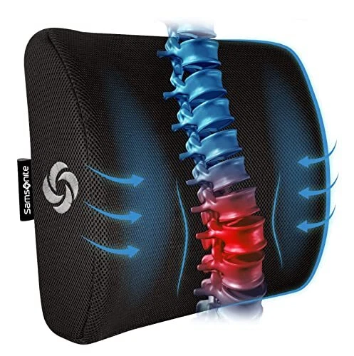 Lumbar Support Pillow For Office Chair and Car Seat, Perfectly Balanced Memory