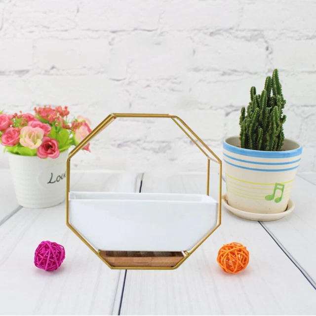 Octagonal Storage Rack Wall Hangings Wall Mounted Planters Flowerpot 3