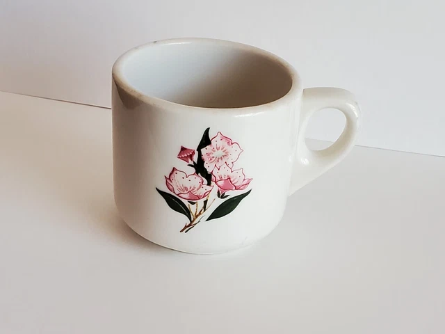 Pennsylvania Railroad PRR Mountain Laurel Cup - Shenango 1978