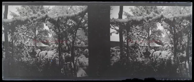 Paysage enneigé c1912 Photo NEGATIVE Plaque de verre Stereo Vintage V33L21n1