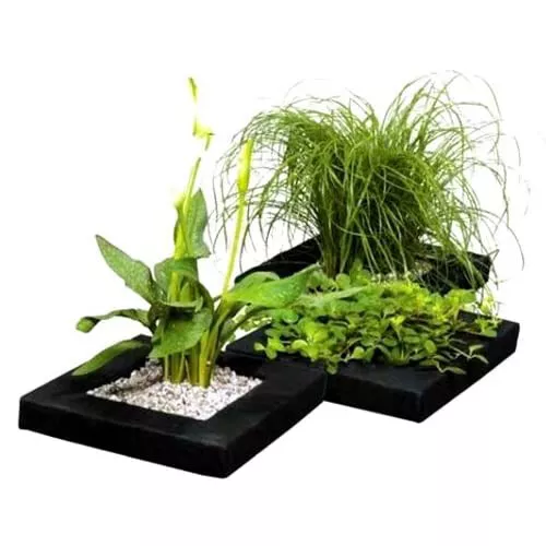 Floating Pond Plant Baskets - 25cm Width, Square Potted Plant Lilly Island Float