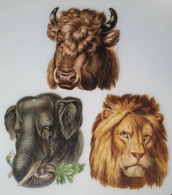 Antique Victorian Large 9" Animal Die Cut Scrap Lot - Lion/Elephant/Buffalo 1892