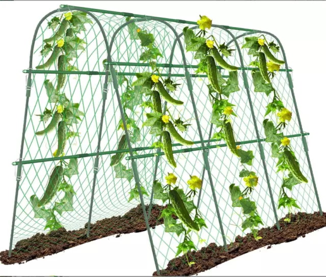 Garden Trellis for Climbing Plant Vegetable Fruits Vines Support Stand Full Set