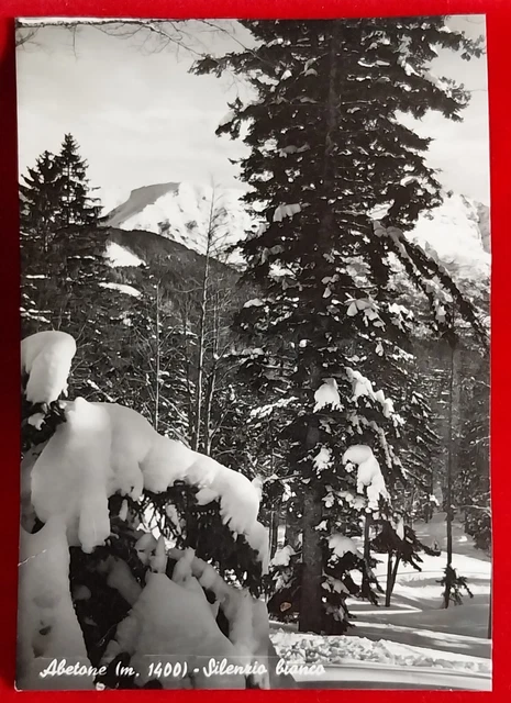 Cartolina Abetone Silenzio Bianco