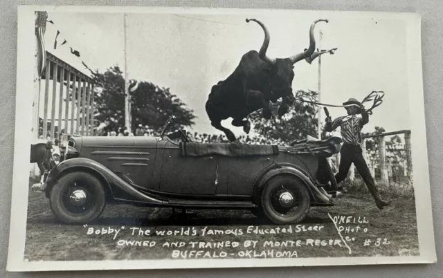 Antique Postcard RPPC REAL PHOTO Buffalo Oklahoma Bobby Steer Cattle Cow Cowboy