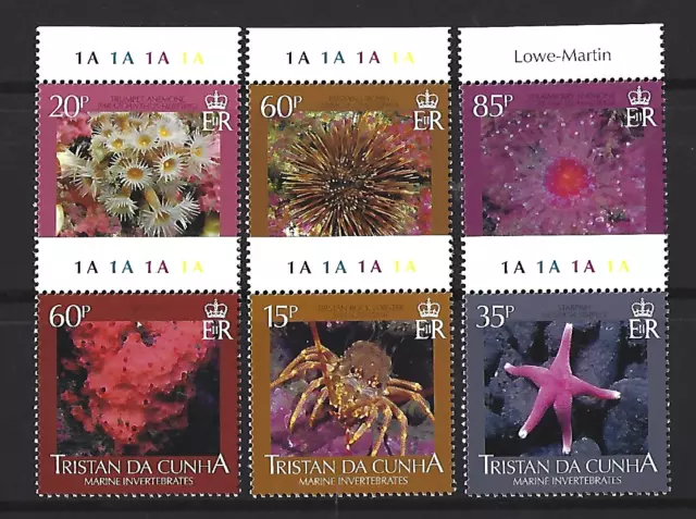 Tristan Da Cunha 2008 Marine Invertebrates Set 6  Marginals  Unmounted Mint Mnh