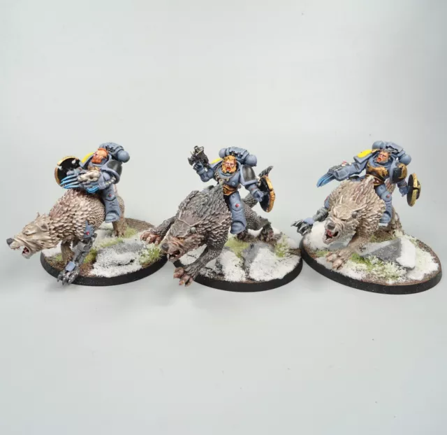 Warhammer 40k Army Space Marines Space Wolves Thunderwolf Cavalry Painted Warhammer 40k Army Space Marines Space Wolves Thunderwolf Cavalry Painted