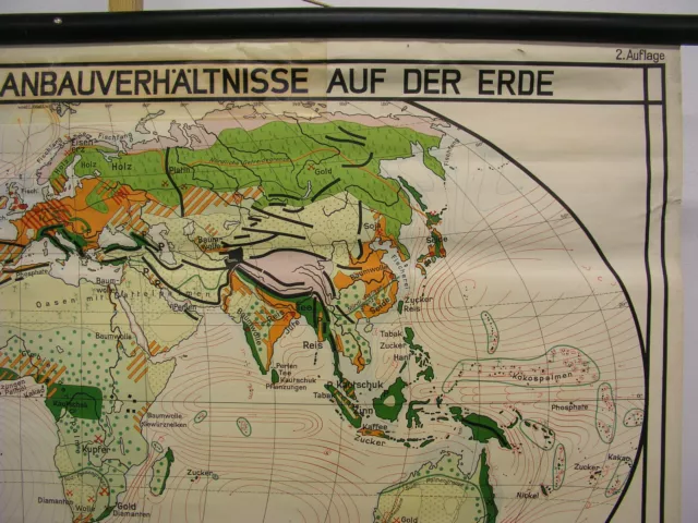 Schul-Wandkarte Plantes Culture Völker Matières Premières Bois De Carte Du Monde 3