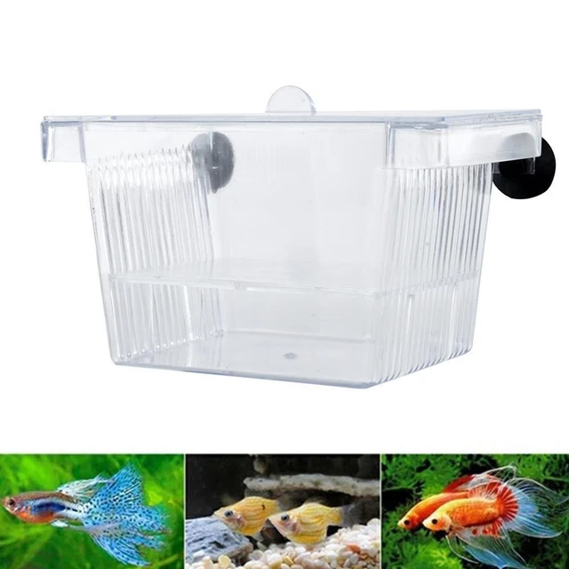 Aquarium Fish Tank Guppy Double Breeding Breeder Rearing Clear C 7Y9I X6K0] Y9N1