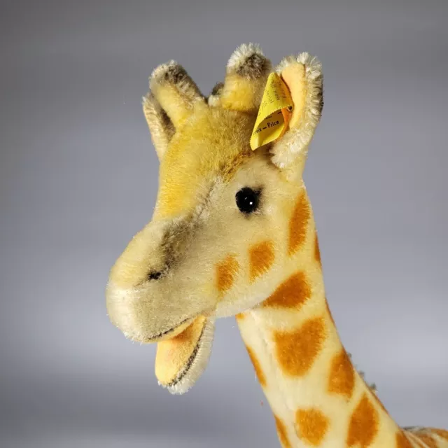 Steiff: antik * 50/60er Mohair - Giraffe * 50 cm ! * unbespielt * Knopf Fahne *