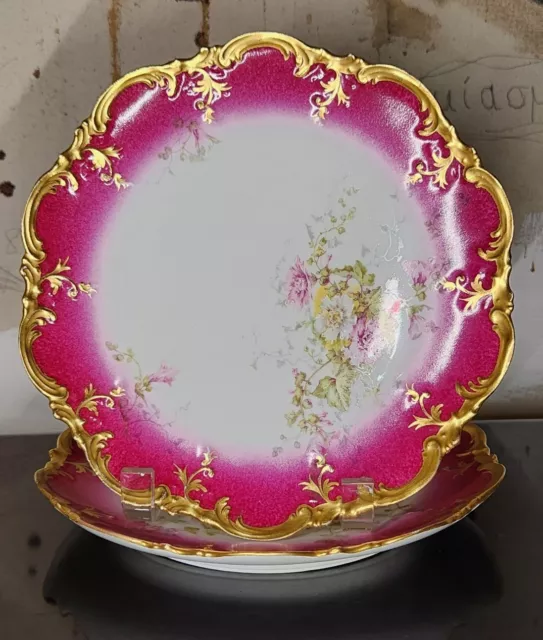 Pair AK CD Limoges Hand Painted Cabinet Plates Floral Raised Gold Display Set 2