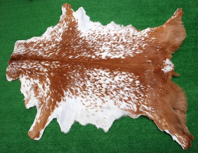 Nueva alfombra piel de cabra piel de pelo en área talla 38""x26"" piel de cabra animal A-2503