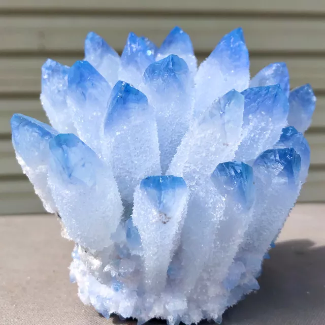 501g  New Find blue Phantom Quartz Crystal Cluster Mineral Specimen Healing
