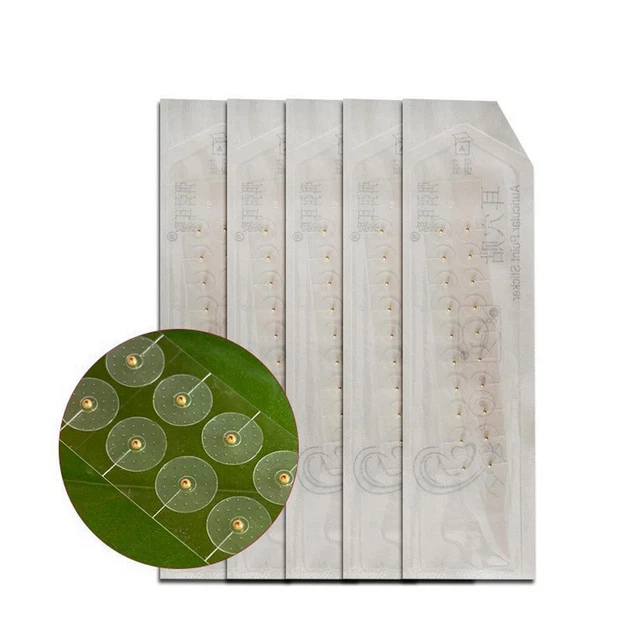 100/200pz Orecchini Rilassamento Adesivi Terapia Ago Patch Auricolar AuriculoC5