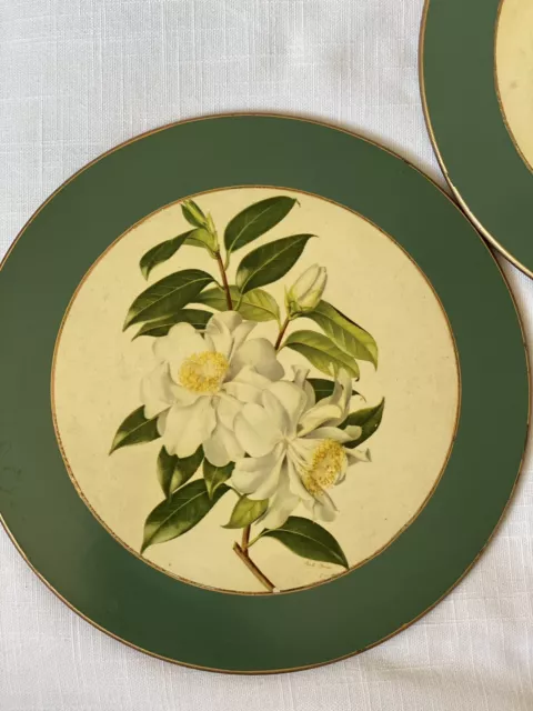 VTG Lady Clare Paul Jones Artwork 5 Placemats HTF Round Green W/ Flower Artwork 2