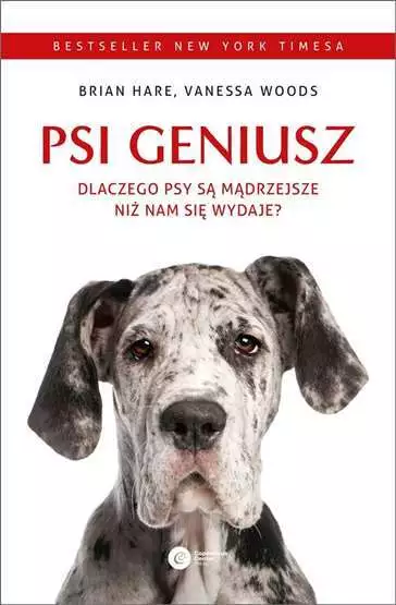 Psi geniusz Dlaczego psy są mądrzejsze niż (sa madrzejsze niz) HARE