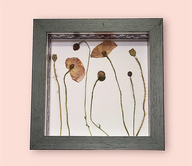 Whimsical Posing Poppies Hand Made art in Hand Painted Shadow box Frame