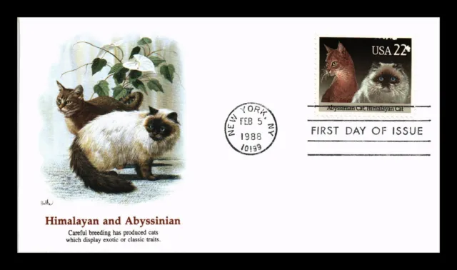 Us Cover Cats Abyssinian & Himalayan First Day Issue Fleetwood Cachet