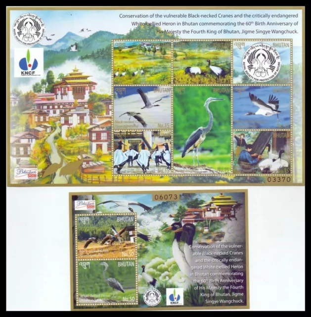 080. Bhutan 2015 Tampon M/S + S/S Conservation De Nature, Oiseaux. MNH Timbre