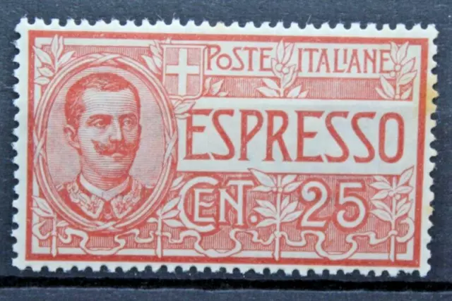 Italia Regno 1903 Espresso Centesimi 25 Vittorio Emanuele Iii° Mh* (C.v)