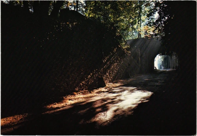 CPM Montmorency La rue des Granges FRANCE (1332472)