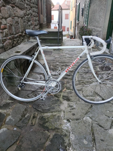 Bicicletta da corsa Battaglin vintage/steel