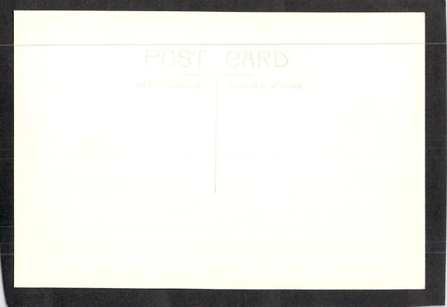 C4211 Australia SA Adelaide Torrens River #9234 vintage Rose Series postcard 2